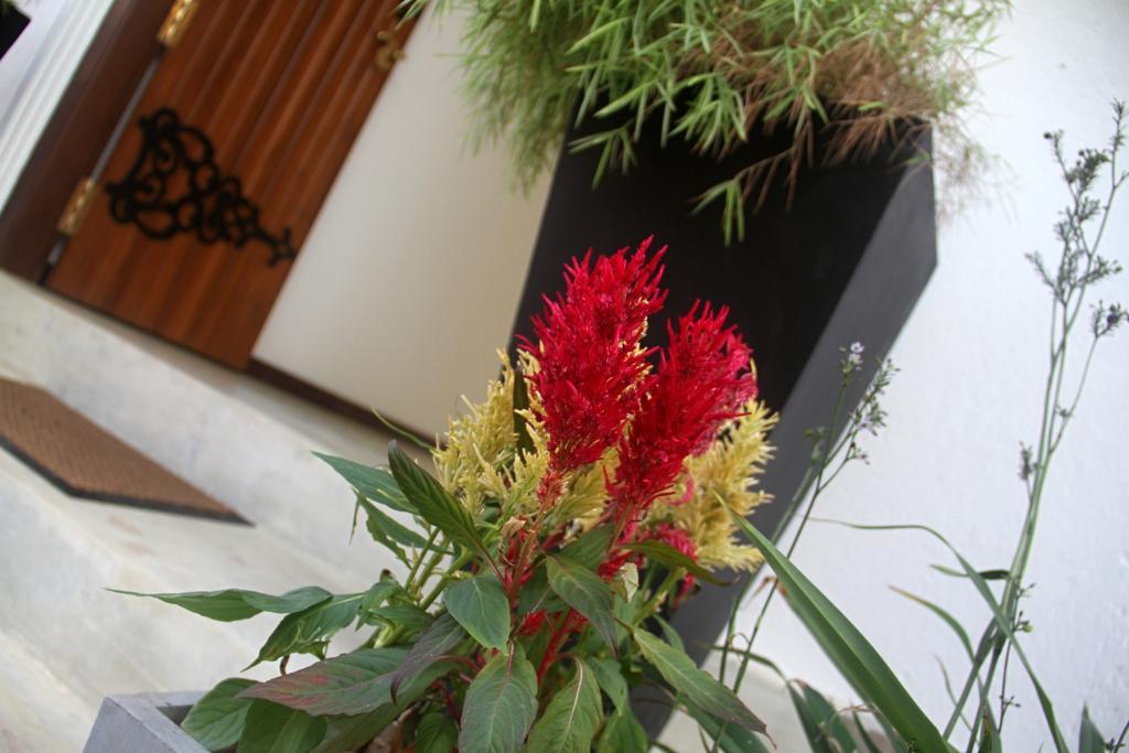 Binnacle Negombo Luaran gambar